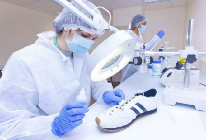 Everything You Need To Know About Forensic Science Jobs